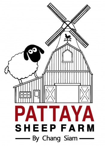 Pattaya Sheep Farm 