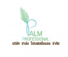 PALM PROFESSIONAL COMPANY LIMITED