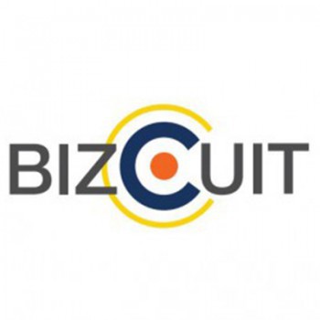 Bizcuit Data And Research Solution