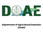 Department of Agricultural Extension (DOAE)